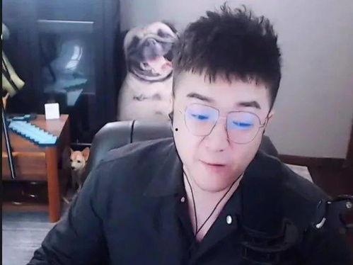 老歪爆料直播间视频,老歪爆料视频内容大揭秘  第2张