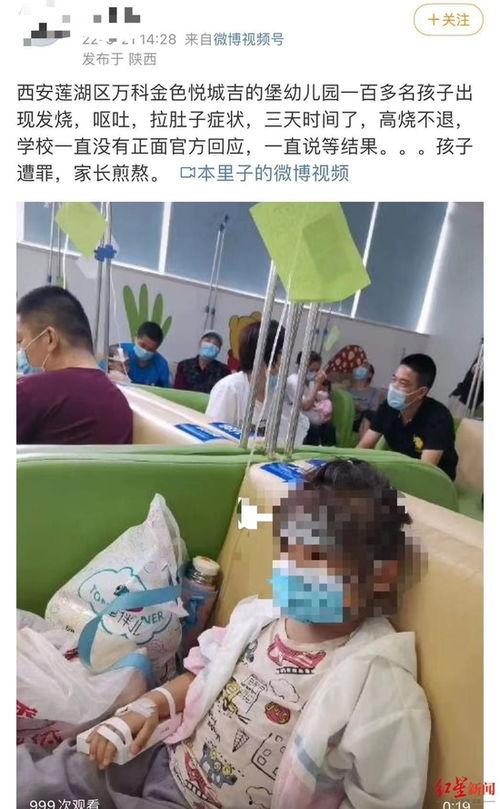 石家庄宝宝爆料事件视频,视频揭露惊人真相  第2张