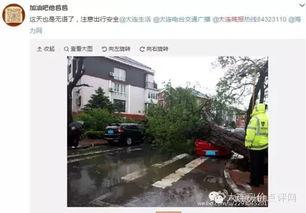 大连西岗最新爆料,揭秘城市变迁中的热点事件  第2张