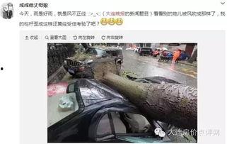大连西岗最新爆料,揭秘城市变迁中的热点事件  第3张