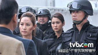 乘胜阻击在线观看,在线观看，揭秘战场英雄传奇  第3张