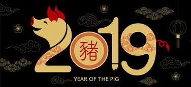 快乐2019在线观看,年度盛宴，笑料横生的欢乐时光回顾  第3张