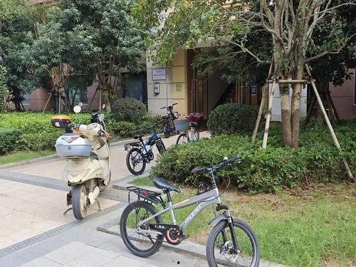 小区自行车爆料视频,共享单车停放乱象引发热议  第3张