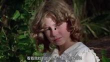 青春珊瑚岛在线观看,在线重温青春记忆，共赴蓝色梦想之旅