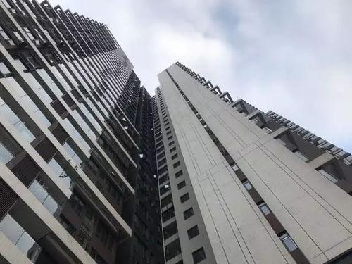 广州惠州最新爆料,揭秘城市新动态与热点事件  第2张
