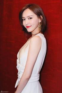 宋允儿天涯爆料视频全集,揭秘娱乐圈不为人知的真相