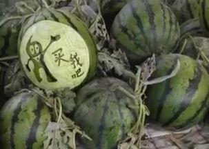 新泰大瓜爆料视频,揭秘惊人内幕，真相令人震惊！  第2张