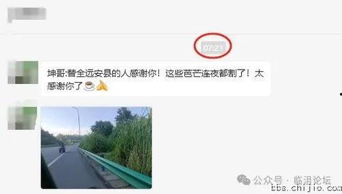 远安最新爆料消息,揭秘神秘事件背后的惊人真相 第3张 远安最新爆料消息,揭秘神秘事件背后的惊人真相 第3张