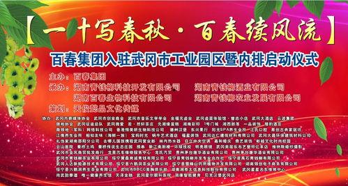 武冈新闻爆料事件始末,真相追踪与舆论漩涡 第3张 武冈新闻爆料事件始末,真相追踪与舆论漩涡 第3张