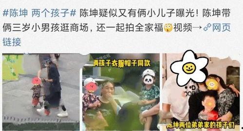 爆料娱乐圈俩孩子的小说,娱乐圈双宝的甜蜜成长  第1张