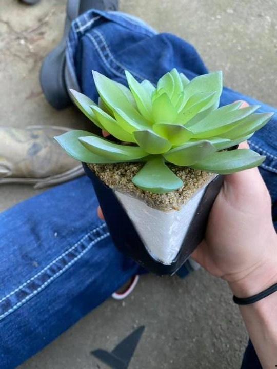 网友爆料多肉视频网站,网友爆料热门视频网站多肉盛宴 第2张 网友爆料多肉视频网站,网友爆料热门视频网站多肉盛宴 第2张