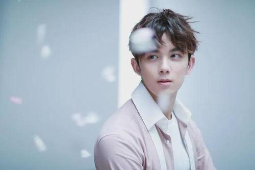 吴磊赵金麦最新爆料是真的吗,真相揭秘，是真是假引热议