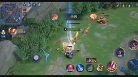 王者小鞠爆料解说视频大全,带你领略电竞魅力  第2张