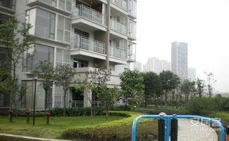 重庆花园爆料视频最新,揭秘神秘事件背后的真相  第2张