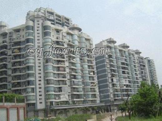 重庆花园爆料视频最新,揭秘神秘事件背后的真相  第3张