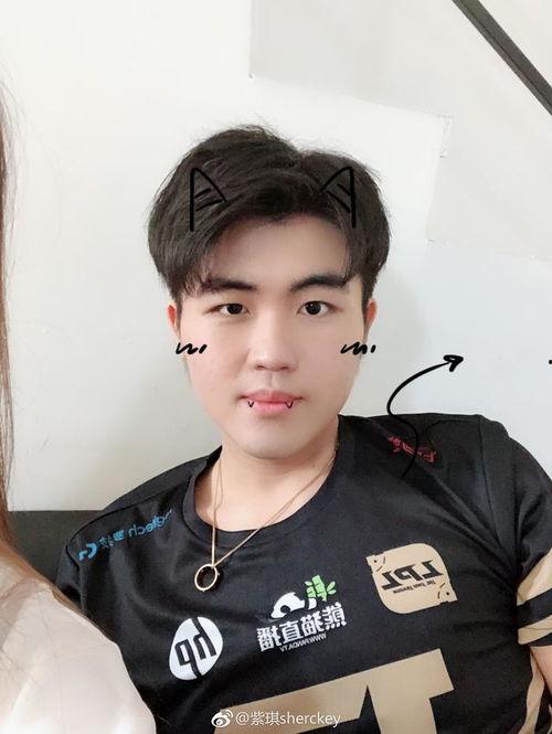 姿态最新爆料,揭秘明星幕后故事与真实面貌  第2张