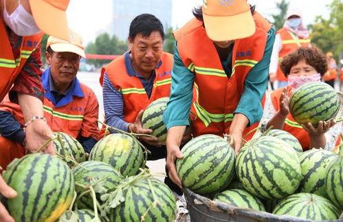 郯城吃瓜最新事件爆料新闻,最新爆料揭示惊人真相  第2张