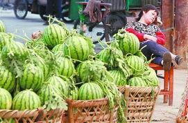 郯城吃瓜最新事件爆料新闻,最新爆料揭示惊人真相  第3张