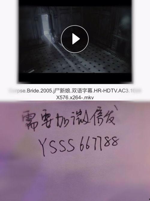 泰国尸新娘在线观看,尸新娘的诅咒之谜 第2张 泰国尸新娘在线观看,尸新娘的诅咒之谜 第2张