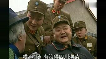 傻儿司令八哥爆料视频,揭秘幕后的惊人真相