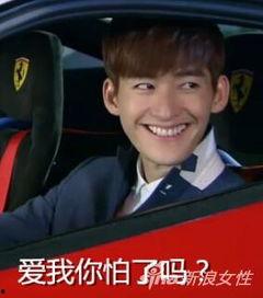 狗仔爆料张翰事件真相视频,张翰事件真相全解析  第2张