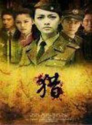 谍战玫瑰在线观看,揭秘特工传奇，在线观看，激情揭秘  第2张