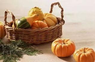 五一免费吃瓜官网,免费瓜果盛宴等你来享！  第2张