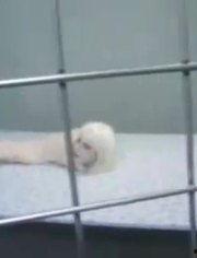 娱乐爆料搞笑版图片,娱乐爆料搞笑图集大揭秘