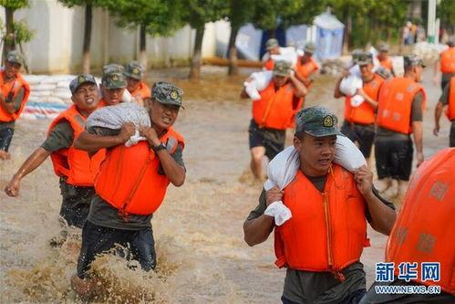 抗洪在线观看,见证英勇抗洪，共筑安全防线  第2张
