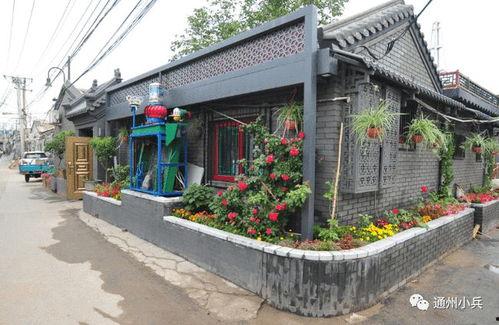 2025一月高招s最新爆料,揭秘热门专业与录取趋势