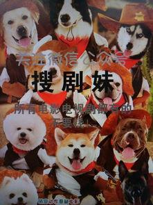 异类之血精灵在线观看,探寻神秘血脉的奇幻之旅  第1张