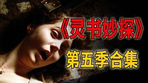 灵书妙探在线观看,探案解谜，智慧与勇气的完美结合  第1张