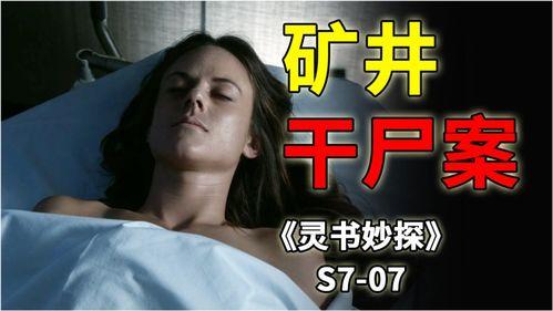 灵书妙探在线观看,探案解谜，智慧与勇气的完美结合  第2张