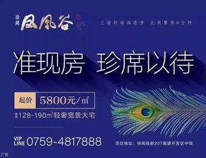 湛江小强最新爆料  第1张