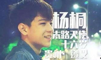 变形记杨桐在线观看,探寻人性与命运的交织 第1张 变形记杨桐在线观看,探寻人性与命运的交织 第1张