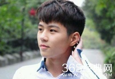 变形记杨桐在线观看,探寻人性与命运的交织 第2张 变形记杨桐在线观看,探寻人性与命运的交织 第2张