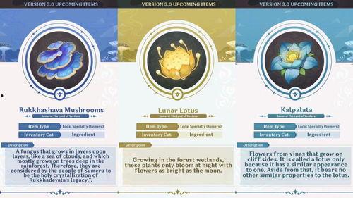 草神身份最新爆料,揭开神秘面纱背后的传奇故事  第3张